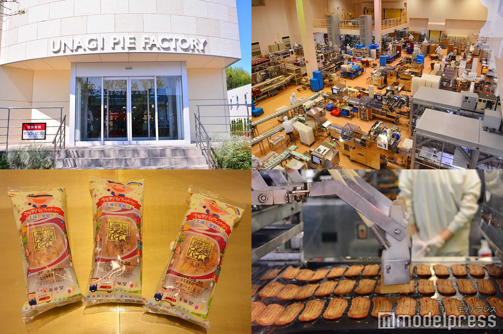 1日約20万本ものうなぎパイを製造する「うなぎパイファクトリー」（C）モデルプレス