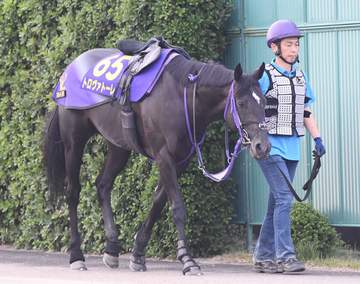 安田記念9着の重賞3勝馬トロヴァトーレは富士Sで始動へ