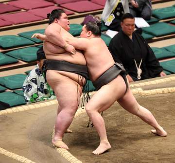 大相撲“史上最強の新弟子”旭富士が無敗街道を継続、押し込まれるも冷静に対処に相手「さらに重くなった」
