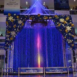 「AQUA STAR TREE」を点灯させるトリンドル玲奈