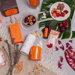 DAYLILY(提供画像)