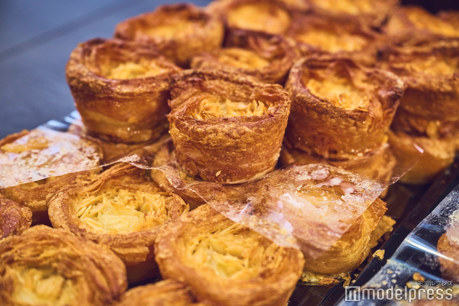 メゾン・ジョルジュ・ラルニコル（C）モデルプレス