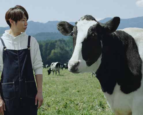 嵐・相葉雅紀“絶品”笑顔はじける スタッフ驚きのプロ意識も