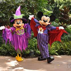 ミッキー＆ミニー／アウラニ・ディズニー・リゾート＆スパコオリナ・ハワイ（C）Disney