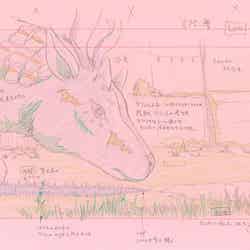 「星を追う子ども」新海誠による監督修正（C）Makoto Shinkai / CMMMY