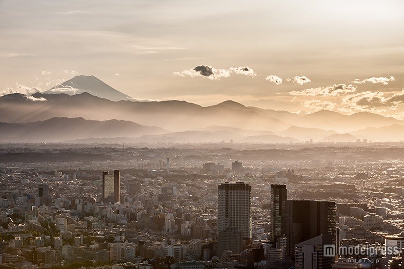 荒谷良一氏の東京シティビューからの写真／画像提供：森ビル