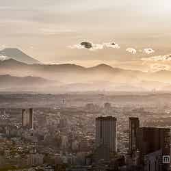 荒谷良一氏の東京シティビューからの写真/画像提供:森ビル