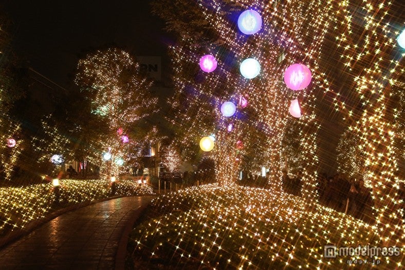 マカロンカラーのイルミで満ちる　新宿がきらめくヒカリの街に