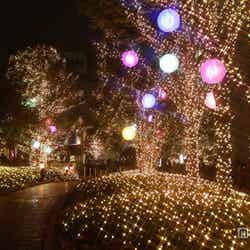 新宿サザンテラス小道(マカロンglobe の森)(イメージ)/画像提供:新宿テラスシティ【モデルプレス】