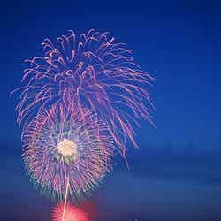 海上から花火を投げ入れ水面で花開く水中花火/画像提供:鎌倉市観光協会