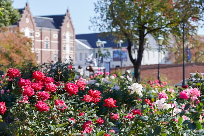 アートガーデン/画像提供:ハウステンボス