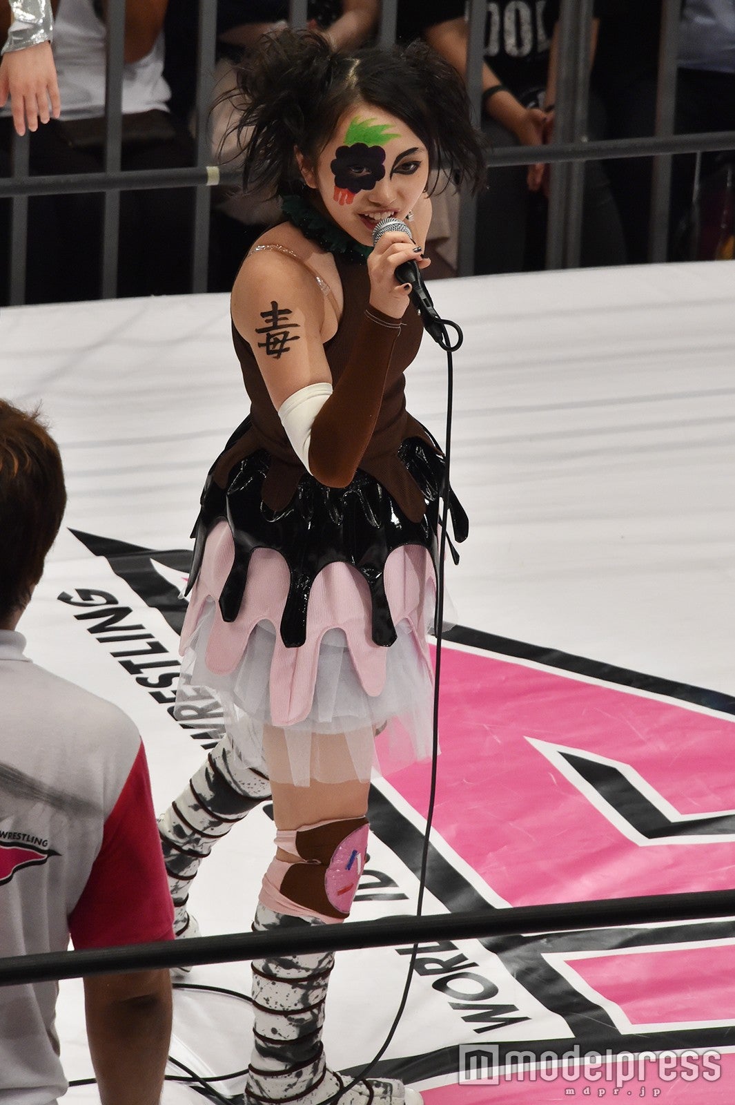 豆腐プロレス The REAL 2017 WIP CLIMAX（C）モデルプレス