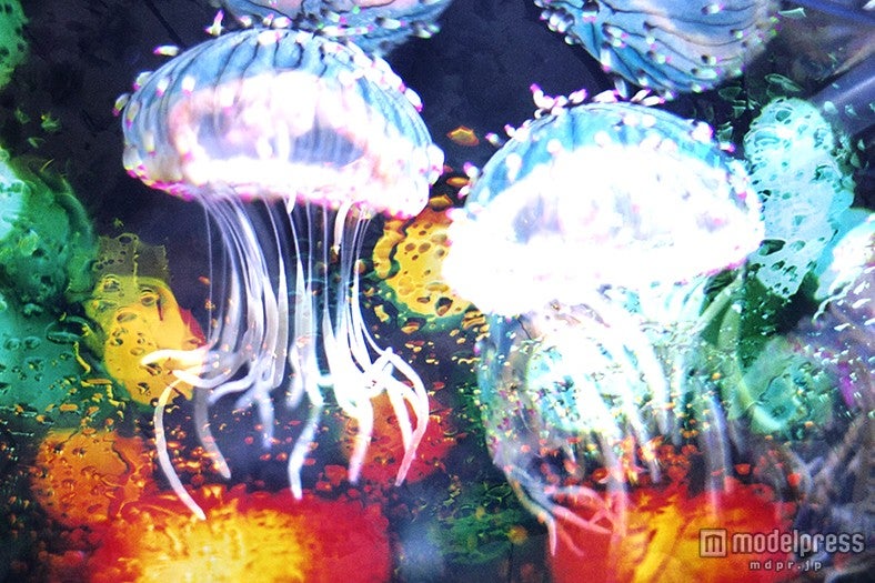 キービジュアル（夜）／画像提供：すみだ水族館