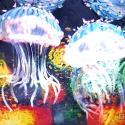 キービジュアル(夜)/画像提供:すみだ水族館