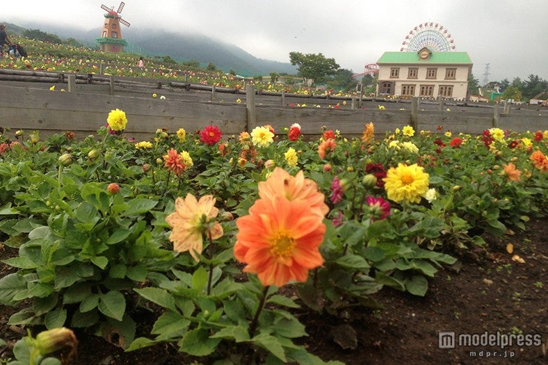 7月10日時点の様子／画像提供：富士急行
