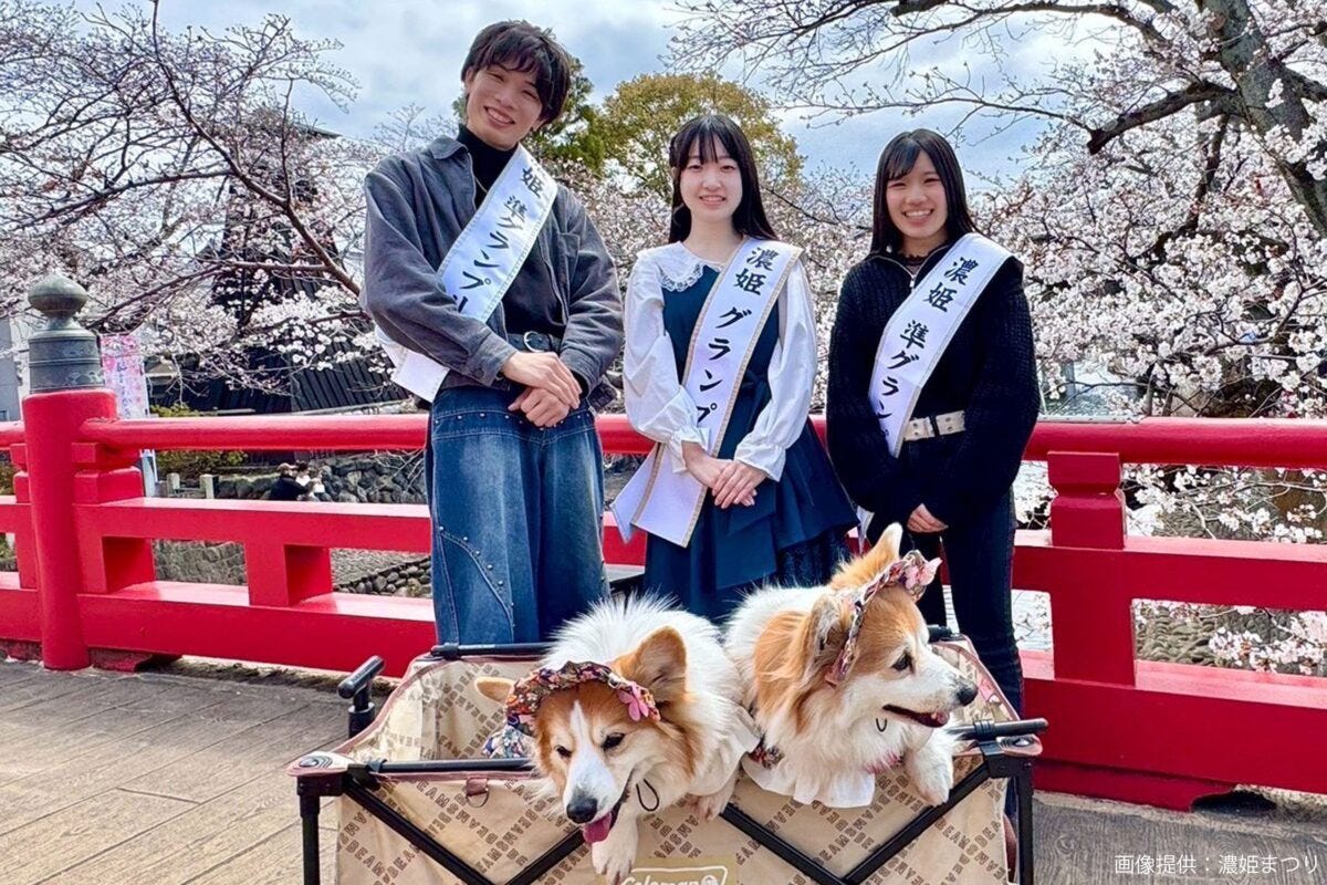 濃姫まつり