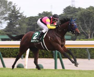 【新潟2歳S】1番人気のレッチュベルクが重賞初制覇 田辺はロードクエスト以来11年ぶり2度目のV