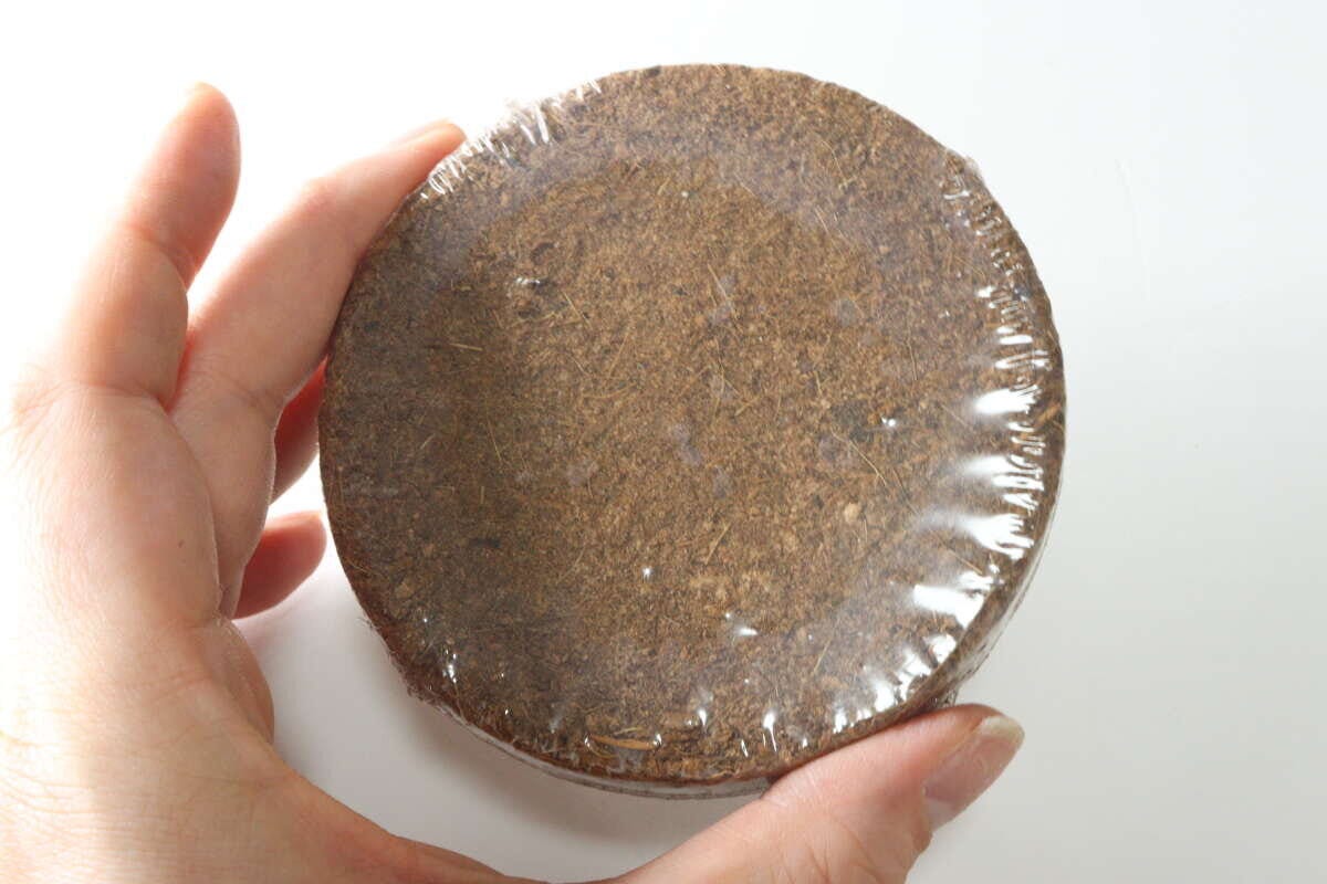 ダイソー　農薬不使用ナチュラル栽培セット