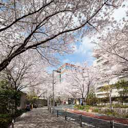 週末何する?次の休みに行くお出かけスポット11選vol.122/画像提供:森ビル