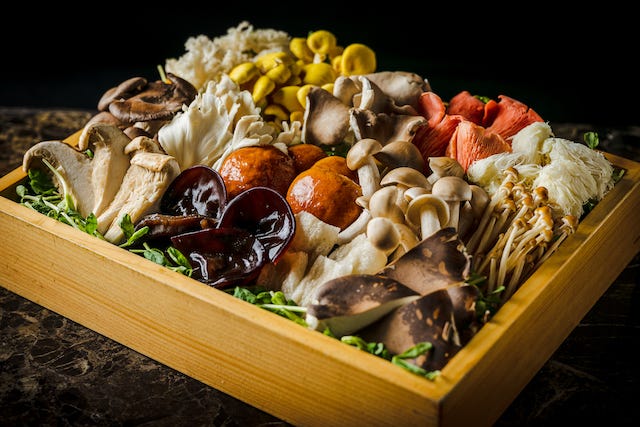 行ってよかった♡