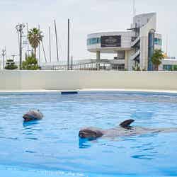 神戸須磨シーワールドホテル/提供画像