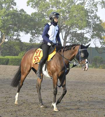 ボンドガールは丹内とのコンビでヴィクトリアMへ