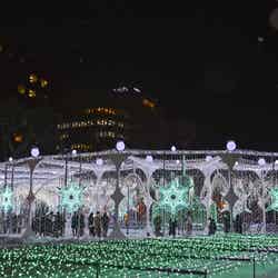 さっぽろホワイトイルミネーション/提供画像