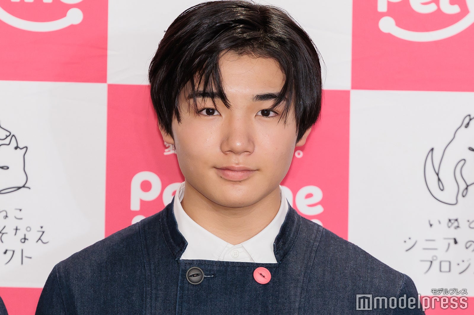 寺田心、月1老犬ホームで介助活動 18歳半で看取った愛犬への思いも語る