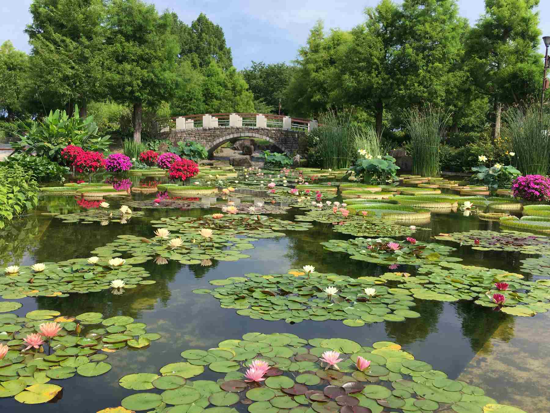 【滋賀】ゆるキャラと記念撮影も！ 「草津市立水生植物公園みずの森」で開園30周年記念祭を開催