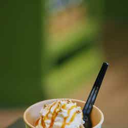 ハリー・ポッター ショップ 原宿/提供画像