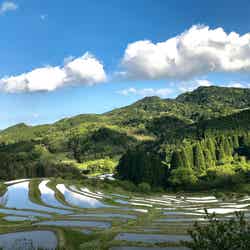 鴨川の大山千枚田(提供写真)