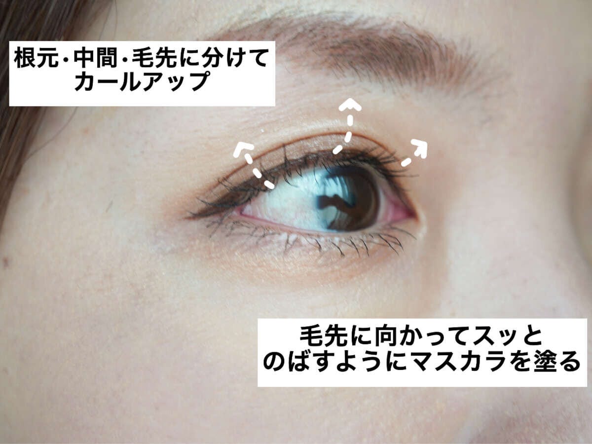 根元・中間・毛先に分けてカールアップし毛先に向かってマスカラを塗る手順