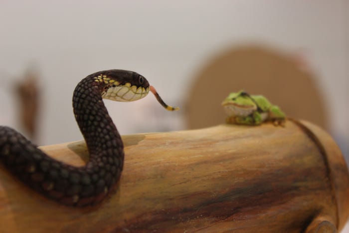 秋川雅史「木彫蛙と蛇」(提供写真)
