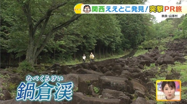 【牧場もサーキットも】家族で楽しめる♡奈良の穴場スポット