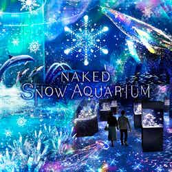 NAKED SNOW AQUARIUM/画像提供:横浜八景島