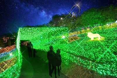 光の森／画像提供：富士急行株式会社