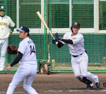 阪神・木浪は「大人になったな」と感じる 一球一球に気持ちを整理して臨めている 定位置再奪取へまた快音 評論家が評価