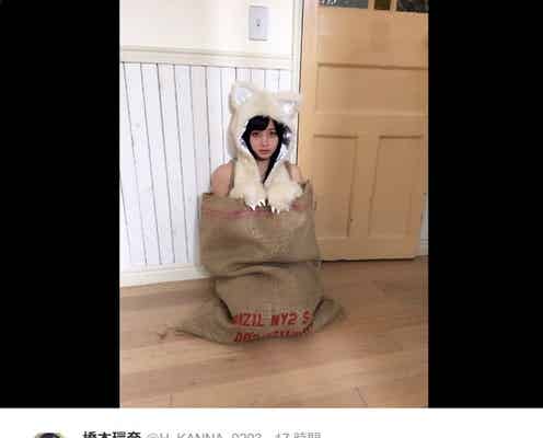 橋本環奈が“捨て猫”に?反則級の可愛さに“飼い主”続出「ぜひうちに!」