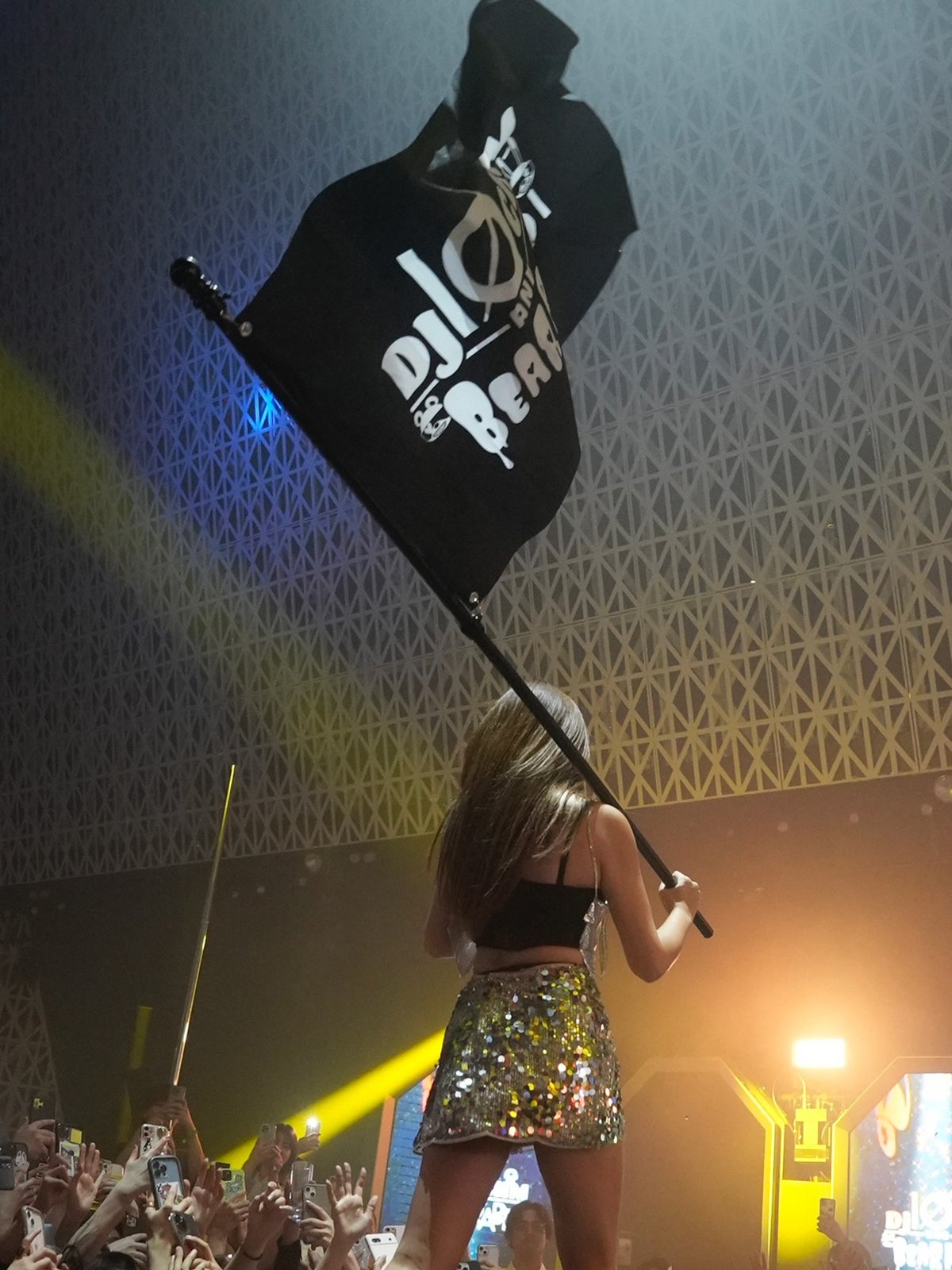 てんちむ「DJてんちむ＆ベアラビ partynight」（提供写真）