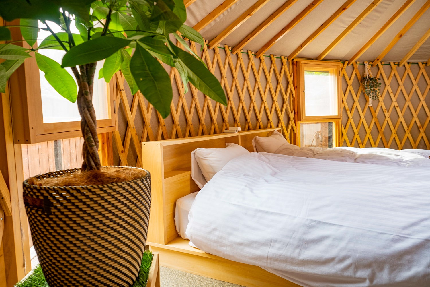 Altitude-アルティチュード-939／画像提供：ブッキングリゾート