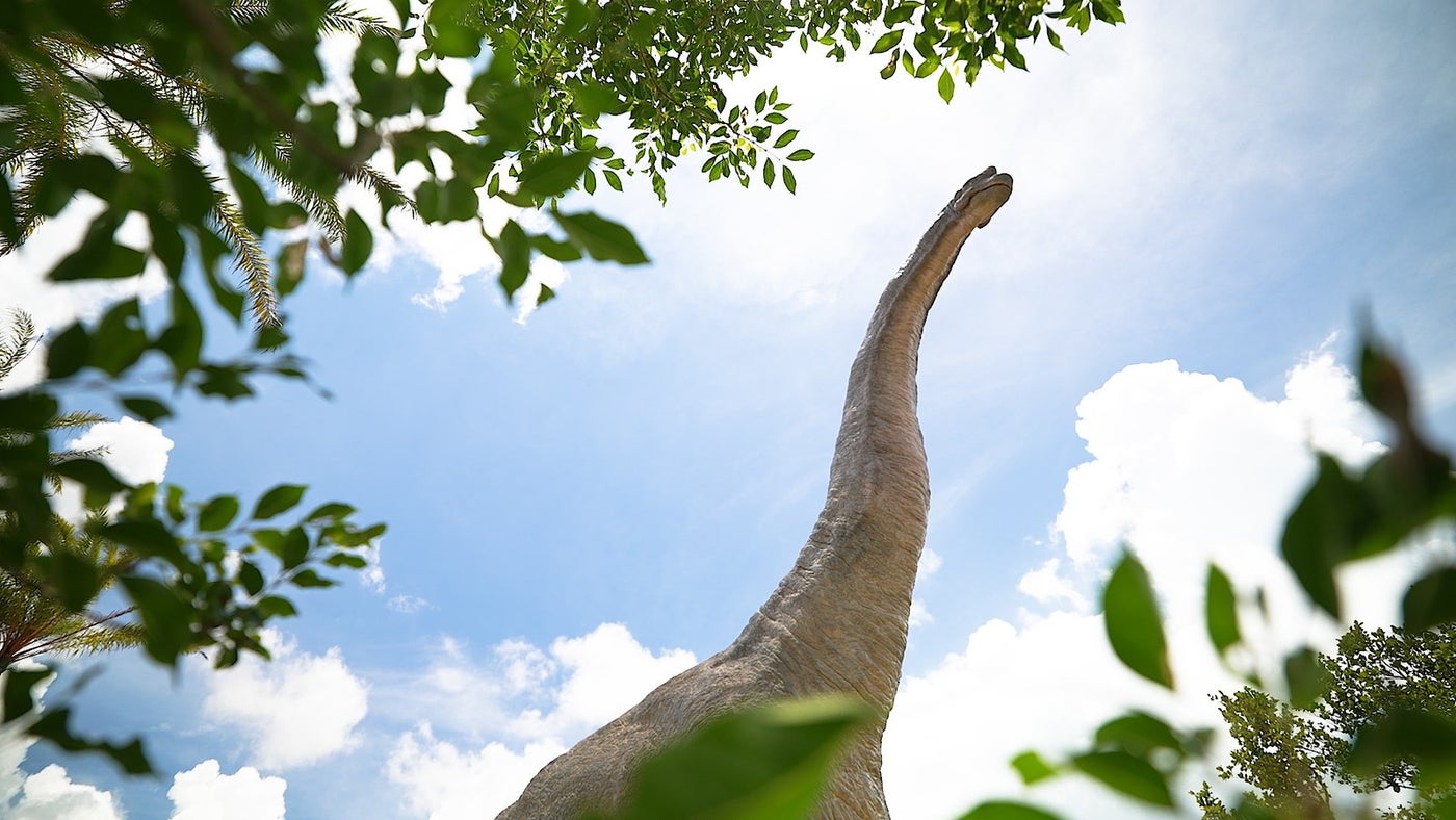 ジャングリア沖縄／提供画像