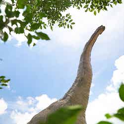 沖縄の新テーマパーク「ジャングリア」恐竜サファリから空中滑空までやんばるの生命力を体感する冒険へ