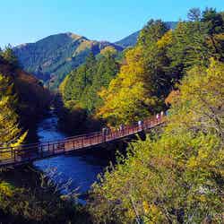 「秋川渓谷」/photo by cyber0515