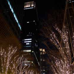 昨年開催時の様子/提供画像