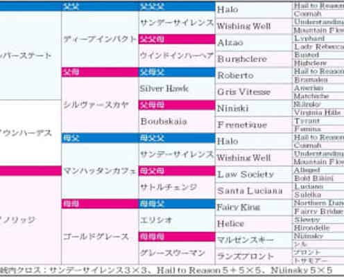 【天皇賞】セイウンハーデス "ロイヤル"な母系から生まれる圧巻のパフォーマンスは勇気づけられるもの