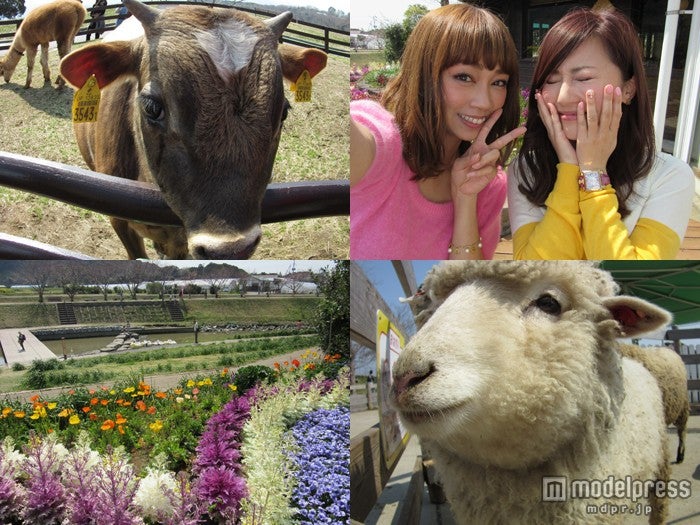 デジカメならではのクオリティでおしゃれな写真も自由自在／キヤノンの「PowerShot SX600 HS」で撮影