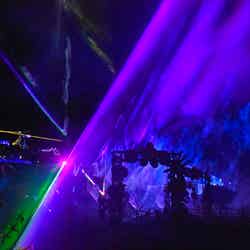 伊豆高原グランイルミ※前シーズンの様子/提供画像