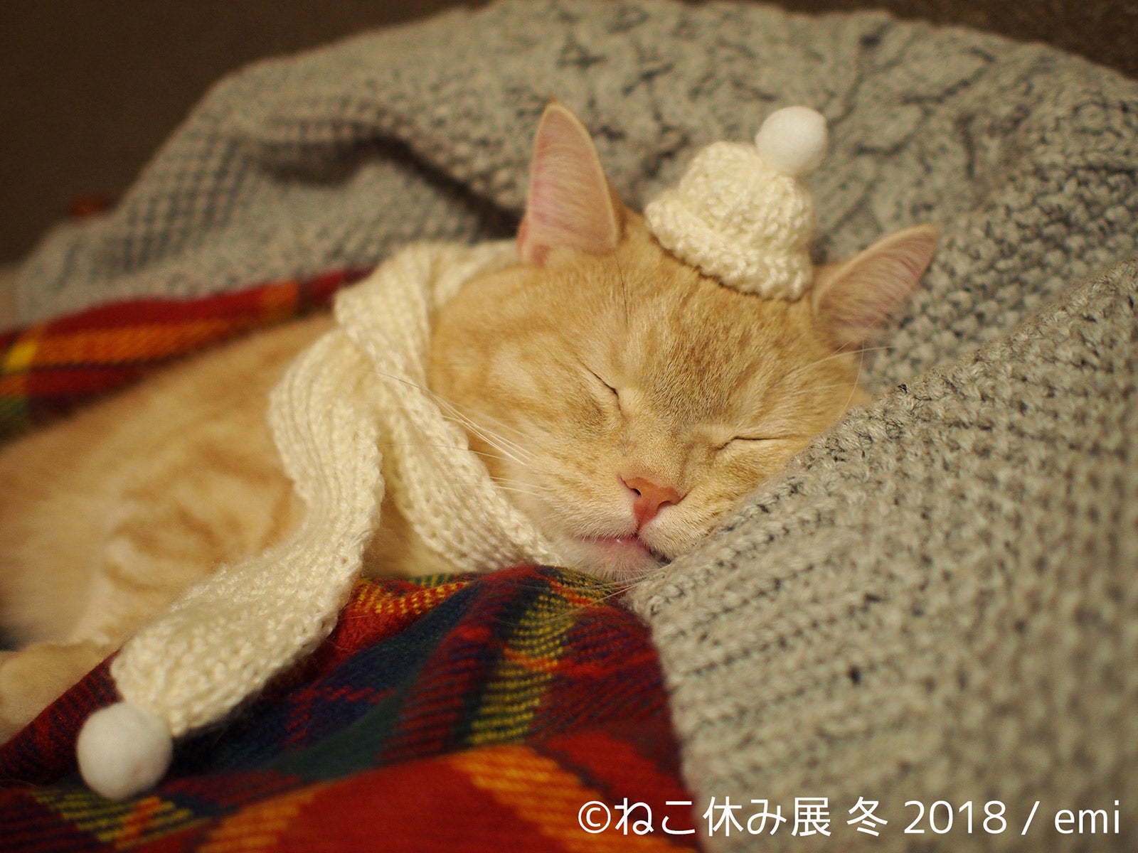 展示作品／画像提供：株式会社BACON