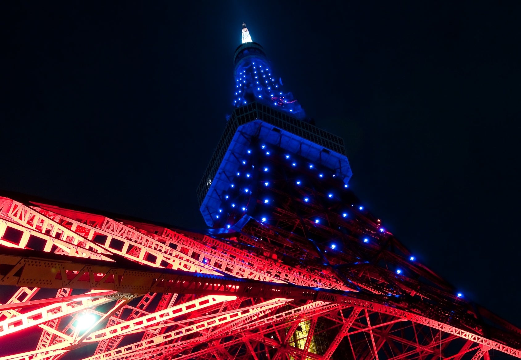 東京タワー／画像提供：東京タワー