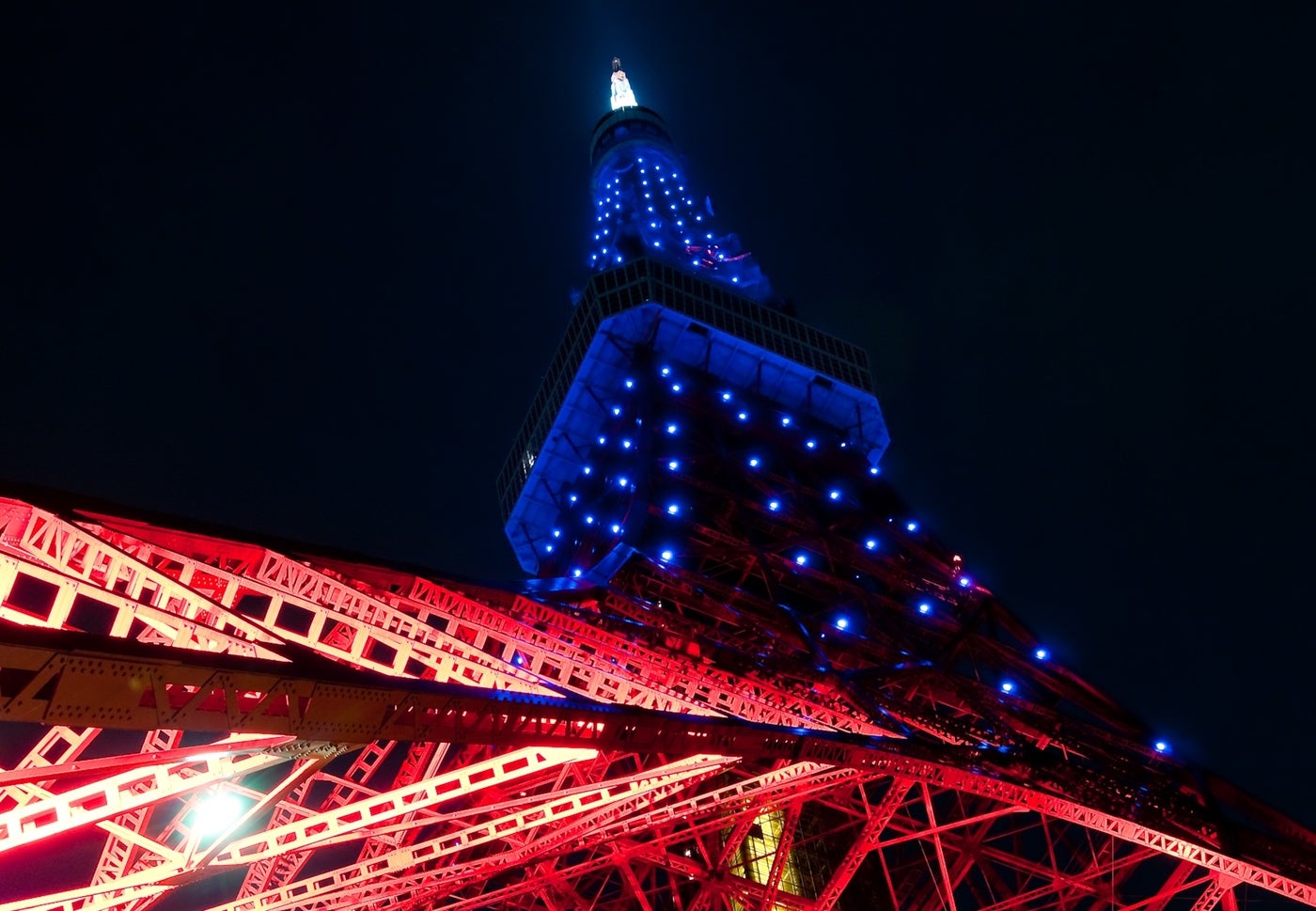 東京タワー／画像提供：東京タワー